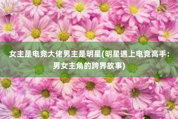 女主是电竞大佬男主是明星(明星遇上电竞高手：男女主角的跨界故事)