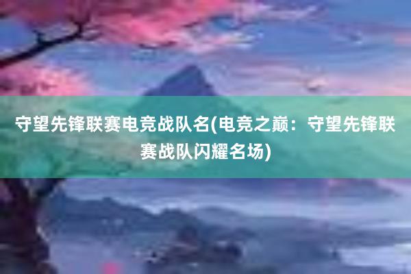 守望先锋联赛电竞战队名(电竞之巅：守望先锋联赛战队闪耀名场)